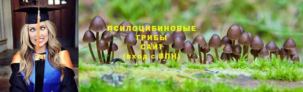 стафф Осташков