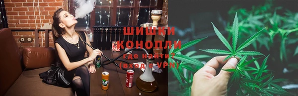 стафф Осташков
