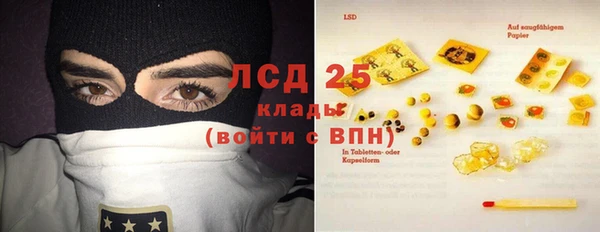 винт Осинники