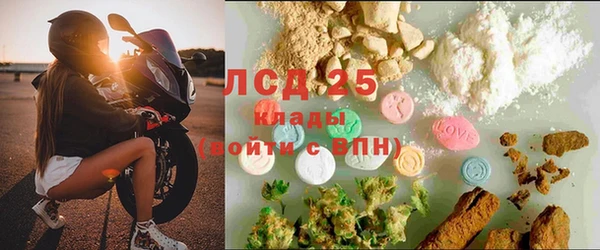 стафф Осташков
