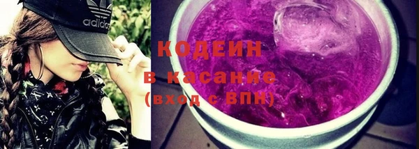 стафф Осташков