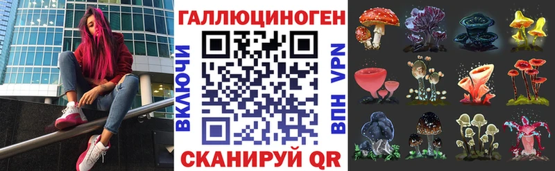 Псилоцибиновые грибы Psilocybine cubensis  Грязи 