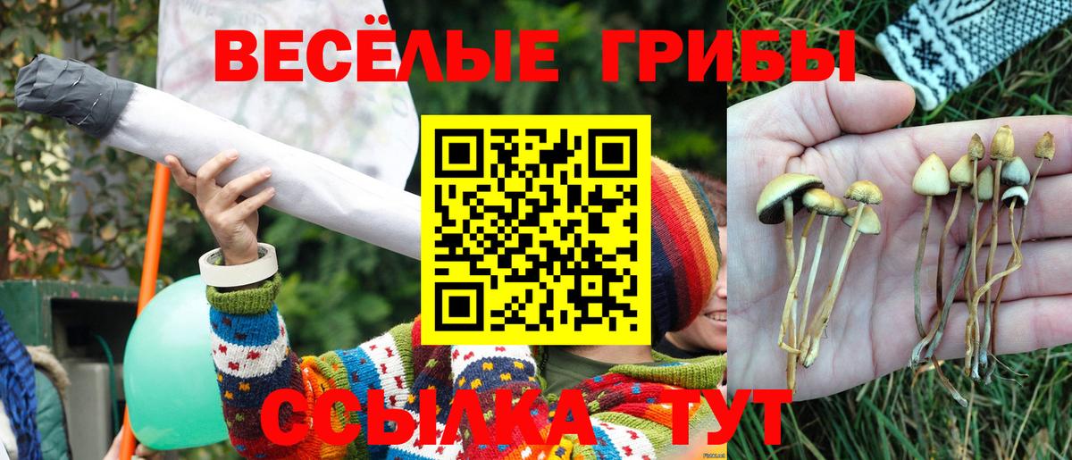 ГАШ  Вход с VPN  Грязи  Cocaine  ГАШ  Мефедрон   Бошки Шишки 