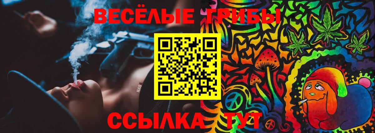 Псилоцибиновые грибы GOLDEN TEACHER Грязи