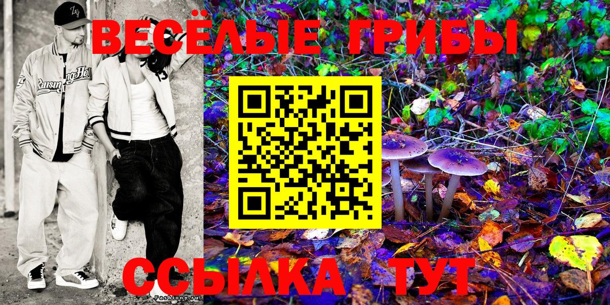 Псилоцибиновые грибы Psilocybe Грязи