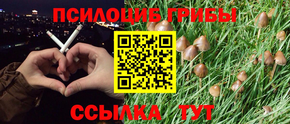 Галлюциногенные грибы Magic Shrooms  Грязи  Псилоцибиновые грибы ЛСД 