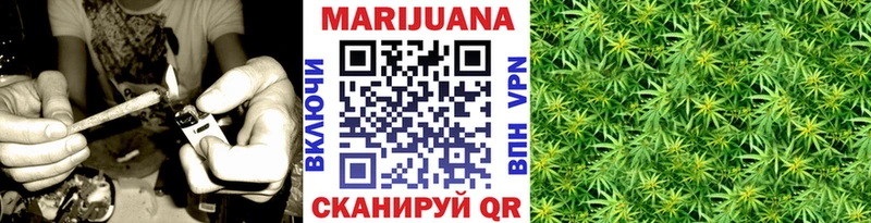 Бошки марихуана SATIVA & INDICA  закладка  Грязи 